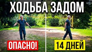 Из исходной публикации