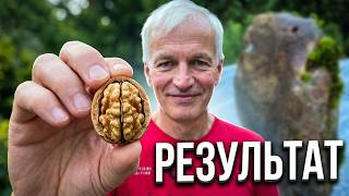 Из исходной публикации